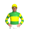 Jockey Silk