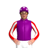 Jockey Silk