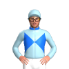 Jockey Silk