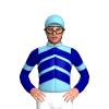 Jockey Silk