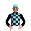 Jockey Silk