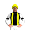 Jockey Silk