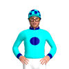 Jockey Silk