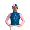 Jockey Silk