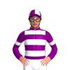 Jockey Silk