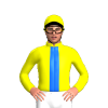 Jockey Silk