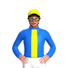 Jockey Silk