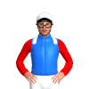 Jockey Silk