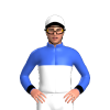 Jockey Silk