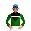 Jockey Silk
