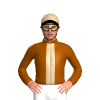 Jockey Silk