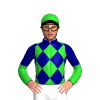 Jockey Silk