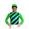 Jockey Silk