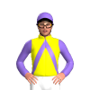 Jockey Silk