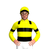 Jockey Silk
