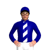 Jockey Silk