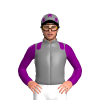Jockey Silk
