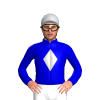 Jockey Silk