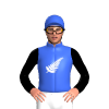 Jockey Silk