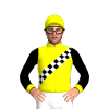 Jockey Silk