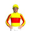 Jockey Silk