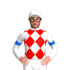 Jockey Silk