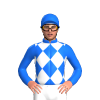 Jockey Silk