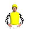 Jockey Silk
