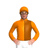 Jockey Silk