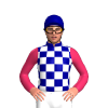 Jockey Silk