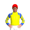 Jockey Silk