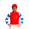 Jockey Silk