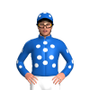 Jockey Silk