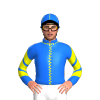 Jockey Silk