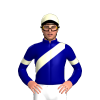 Jockey Silk