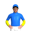 Jockey Silk