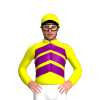 Jockey Silk