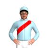 Jockey Silk