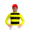 Jockey Silk