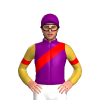 Jockey Silk