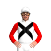 Jockey Silk