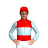 Jockey Silk