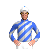 Jockey Silk