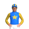 Jockey Silk