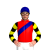 Jockey Silk