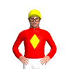 Jockey Silk