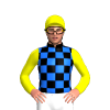 Jockey Silk