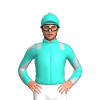 Jockey Silk