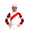 Jockey Silk