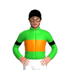 Jockey Silk